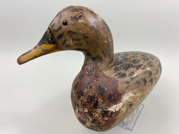 George "Skippy" Barto Turned Head Mallard Hen (#7701)
