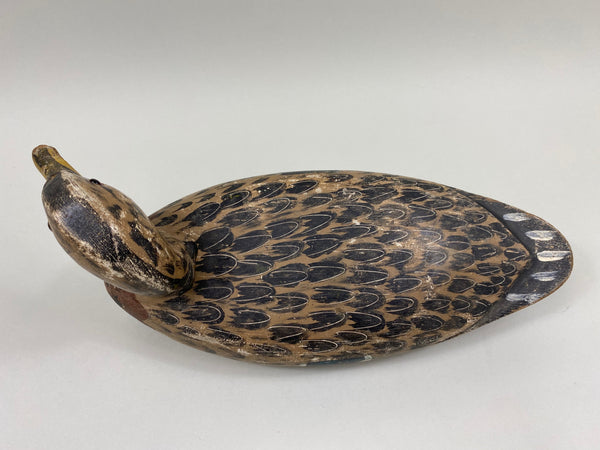 George "Skippy" Barto Turned Head Mallard Hen (#7701)