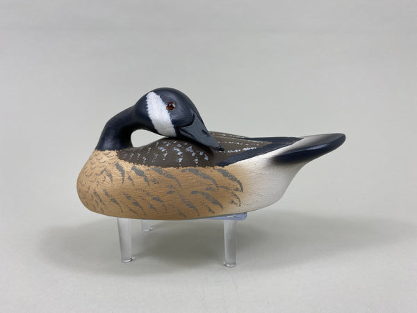 Walter Ruppel Mini Preening Canada Goose (#7719)