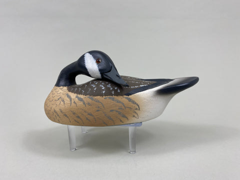 Walter Ruppel Mini Preening Canada Goose (#7719)