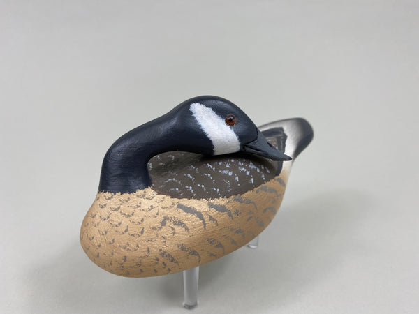 Walter Ruppel Mini Preening Canada Goose (#7719)