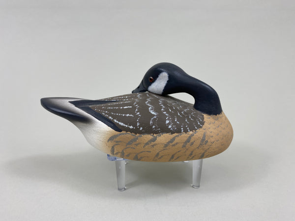Walter Ruppel Mini Preening Canada Goose (#7719)