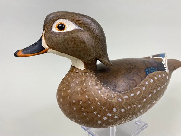 Torry Ward Pair Wood Ducks (#7720)