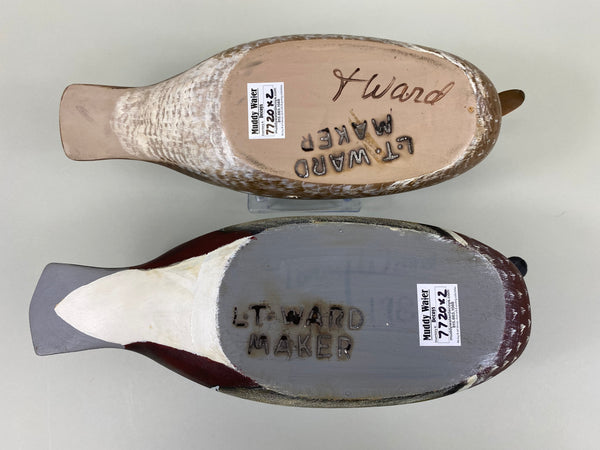 Torry Ward Pair Wood Ducks (#7720)