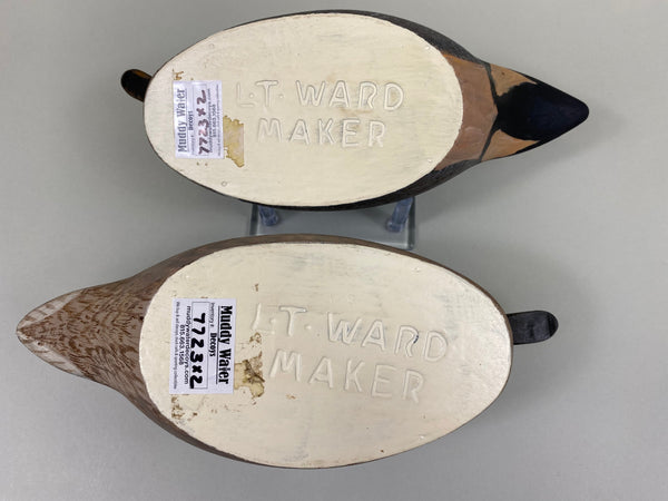 Torry Ward Pair Green Wing Teal, Stamped, Original (#7723)