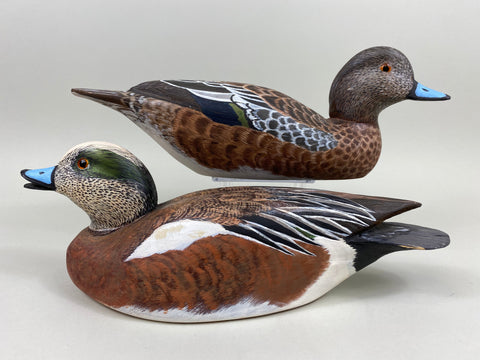 Torry Ward Pair of Widgeon (#7725)