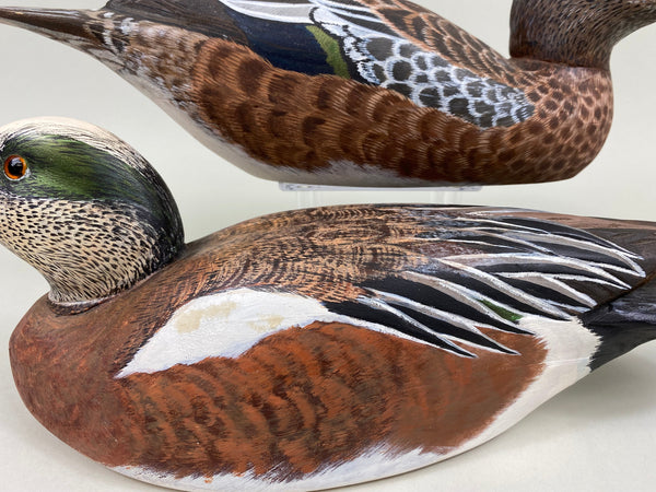 Torry Ward Pair of Widgeon (#7725)