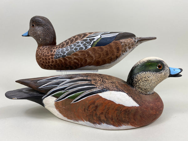 Torry Ward Pair of Widgeon (#7725)