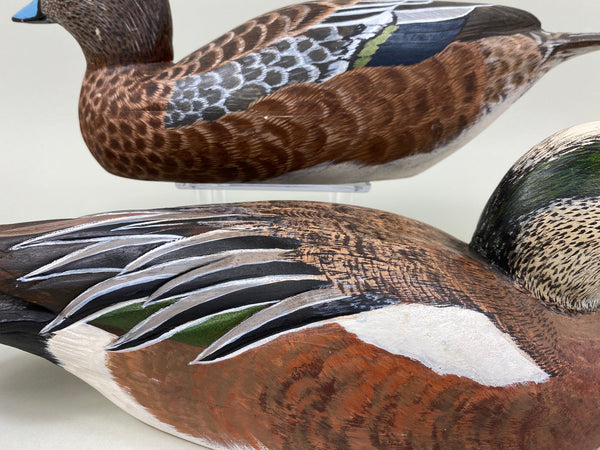 Torry Ward Pair of Widgeon (#7725)