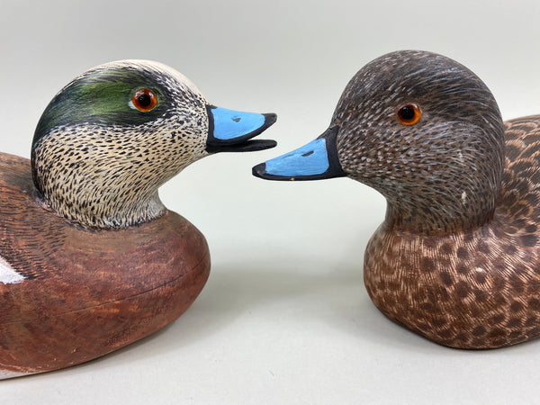 Torry Ward Pair of Widgeon (#7725)