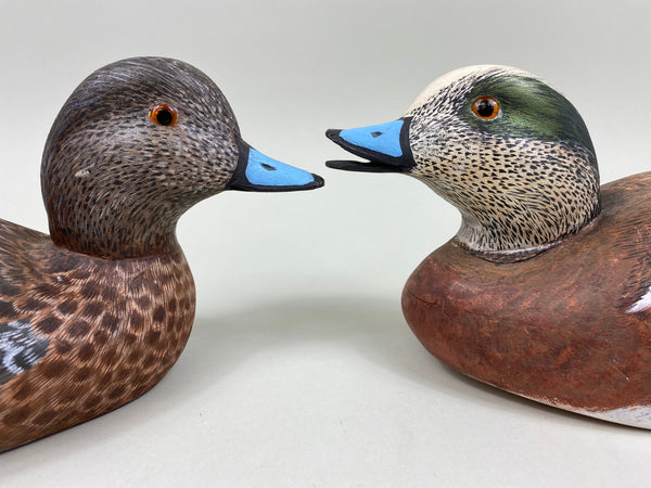 Torry Ward Pair of Widgeon (#7725)