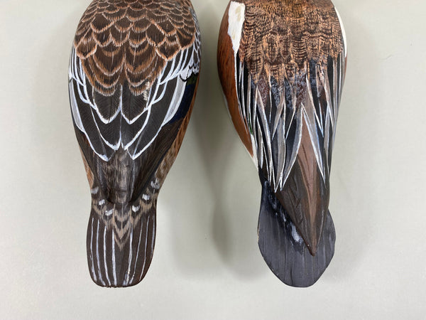 Torry Ward Pair of Widgeon (#7725)