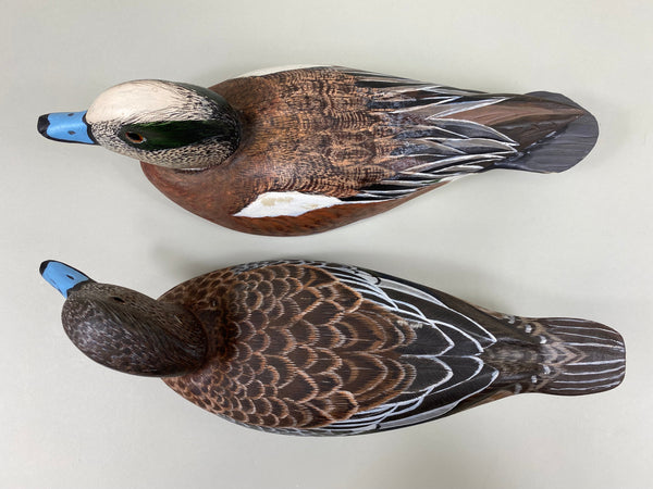 Torry Ward Pair of Widgeon (#7725)