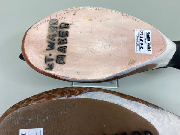 Torry Ward Pair of Widgeon (#7725)