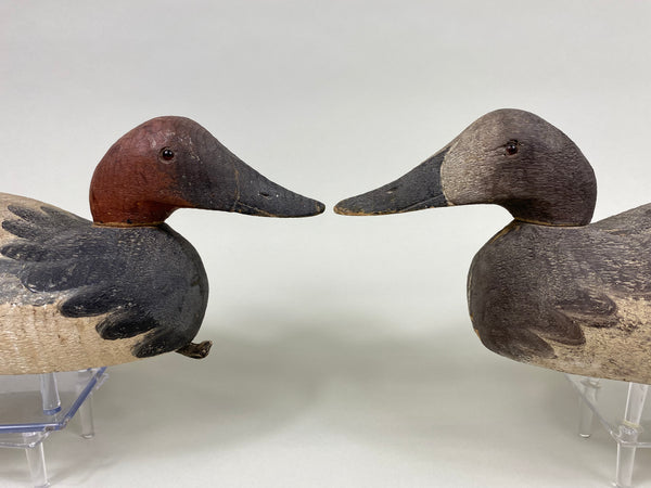 Sperry Factory Pair of Mason Style Canvasbacks (#7729)