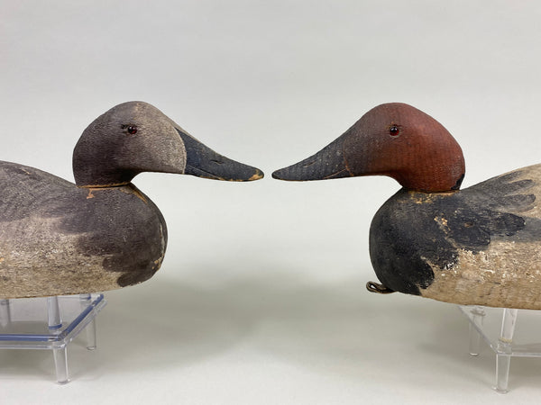 Sperry Factory Pair of Mason Style Canvasbacks (#7729)