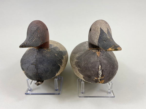 Sperry Factory Pair of Mason Style Canvasbacks (#7729)