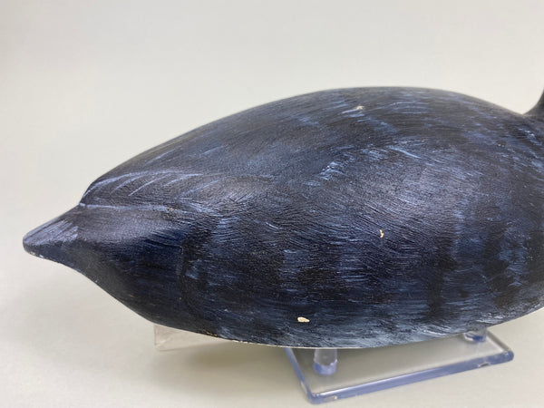 Torry Ward Hunting Grade Coot (#7732)