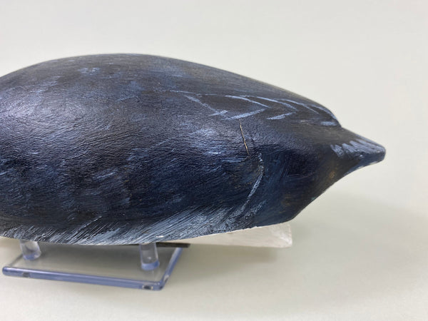 Torry Ward Hunting Grade Coot (#7732)