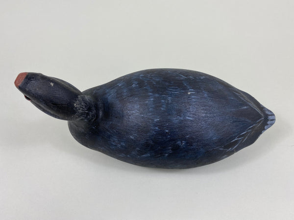 Torry Ward Hunting Grade Coot (#7732)