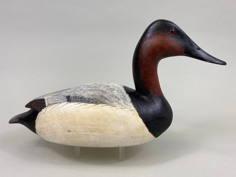 Torry Ward Canvasback Drake (#7736)