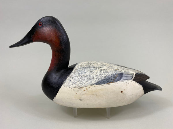 Torry Ward Canvasback Drake (#7736)