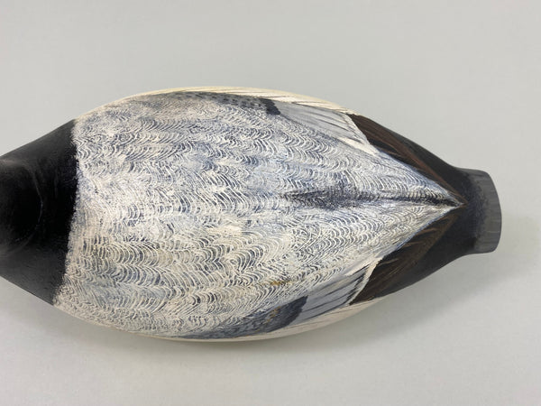 Torry Ward Canvasback Drake (#7736)