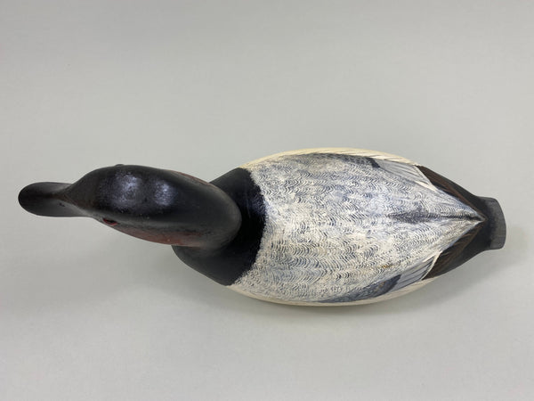 Torry Ward Canvasback Drake (#7736)