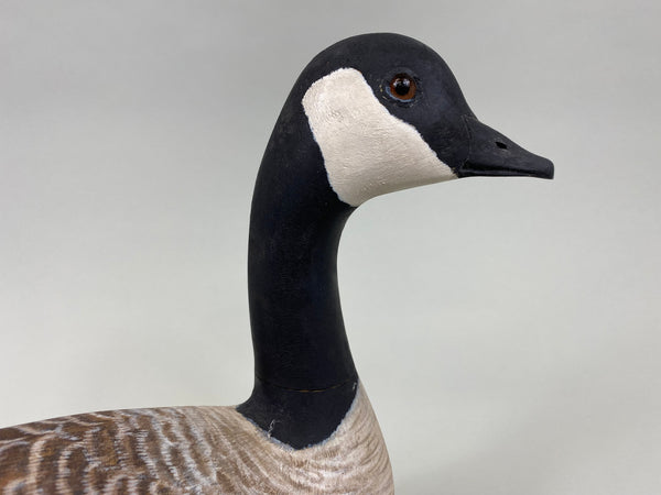 Torry Ward Cackler Canada Goose (#7737)
