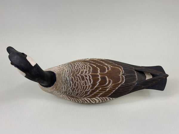 Torry Ward Cackler Canada Goose (#7737)