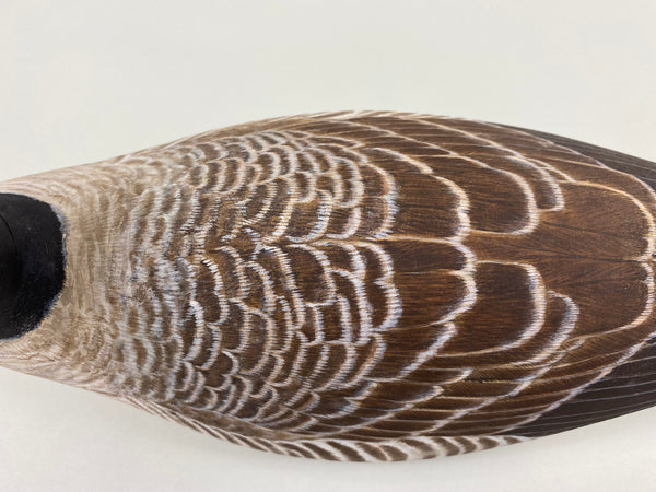 Torry Ward Cackler Canada Goose (#7737)