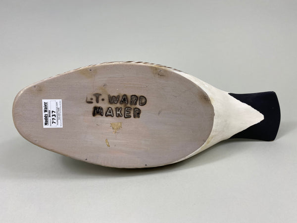 Torry Ward Cackler Canada Goose (#7737)