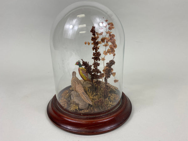 Miniature Carved Pair of Pheasants under Glass Display (#7741)