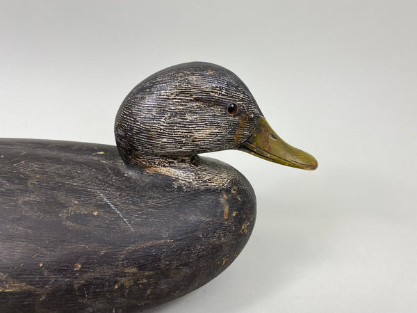 Ken Anger Black Duck, Circa 1930's Original Paint (#7747)