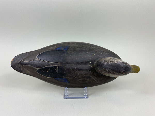 Ken Anger Black Duck, Circa 1930's Original Paint (#7747)