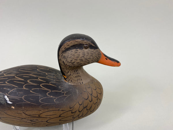 Jack Sweet Decoys Unlimited Mallard Hen (#7749)