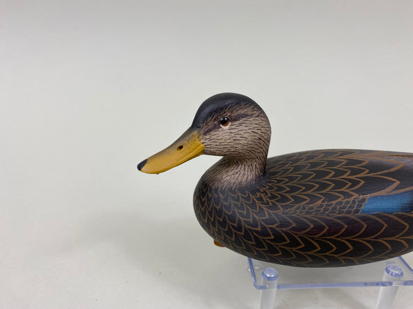 Frederick "Rick" Brown Third Size Black Duck (#7759)