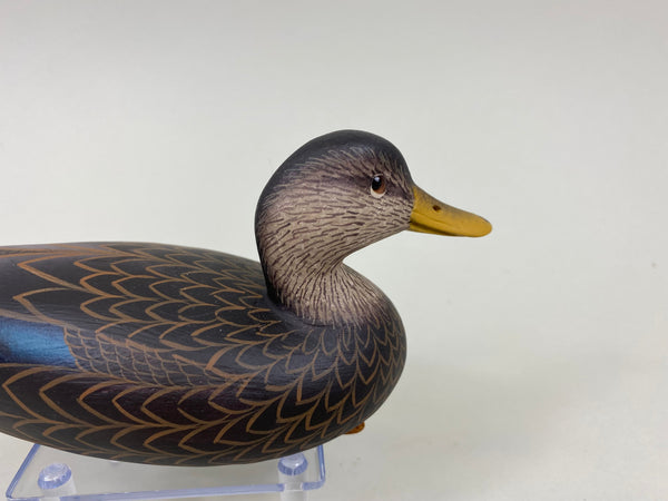 Frederick "Rick" Brown Third Size Black Duck (#7759)