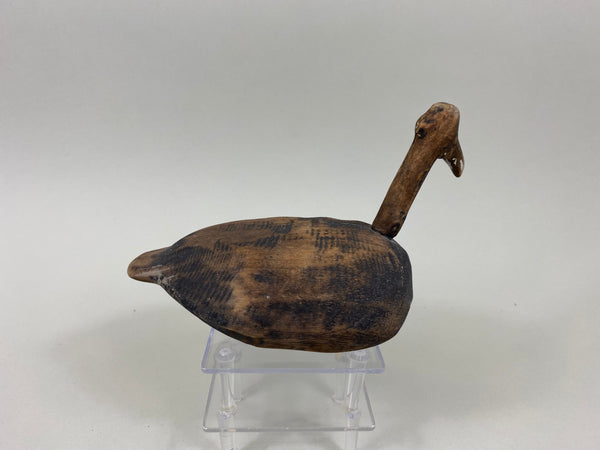 3 Roothead Coots Unknown (#7761)