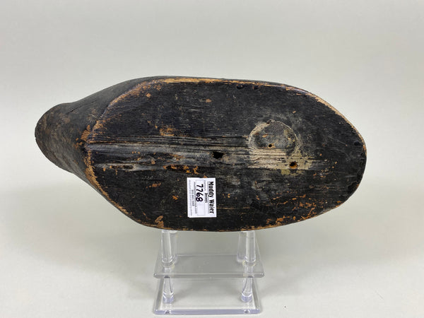 Michigan Black Duck (#7768