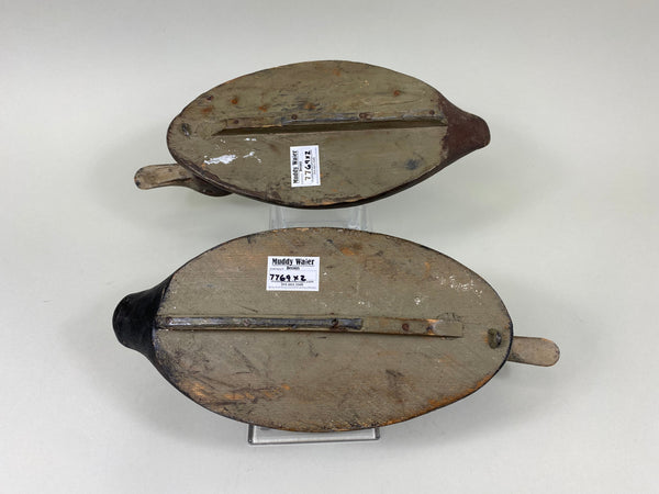 Canadian Bluebills Pair, Circa 1920's (#7769)