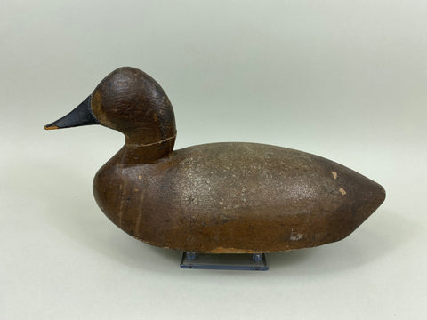 Unknown Michigan Canvasback Hen, Circa 1920's (#7775)