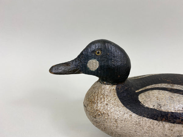 Sperry Factory Golden Eye Drake, Circa 1930's (#7789)