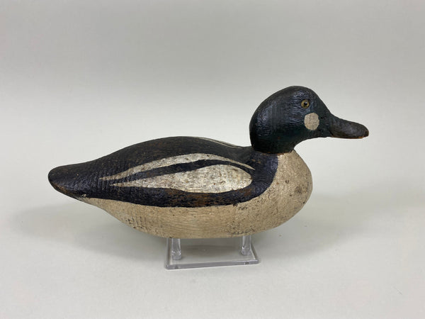 Sperry Factory Golden Eye Drake, Circa 1930's (#7789)