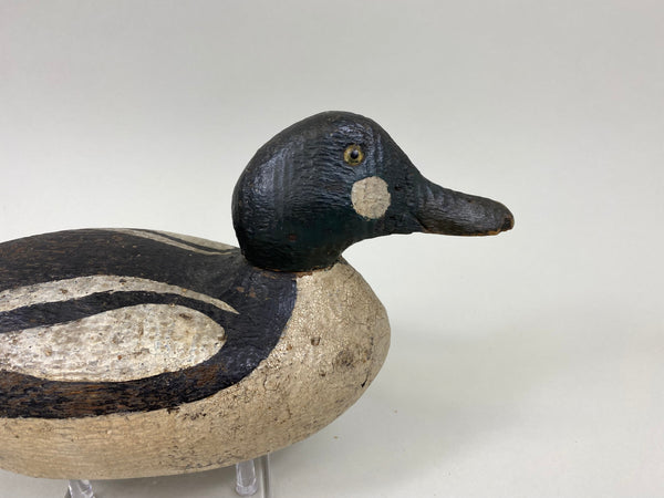 Sperry Factory Golden Eye Drake, Circa 1930's (#7789)