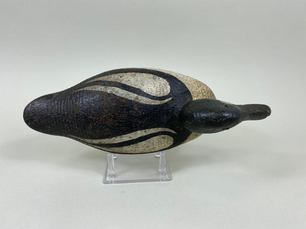 Sperry Factory Golden Eye Drake, Circa 1930's (#7789)