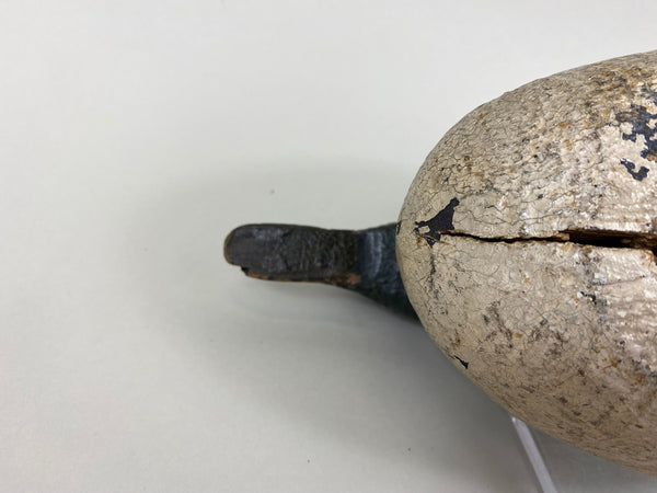 Sperry Factory Golden Eye Drake, Circa 1930's (#7789)