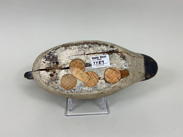 Sperry Factory Golden Eye Drake, Circa 1930's (#7789)