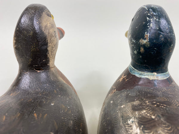 Unknown Mallards- repaint by Joseph Kelso (#7792)