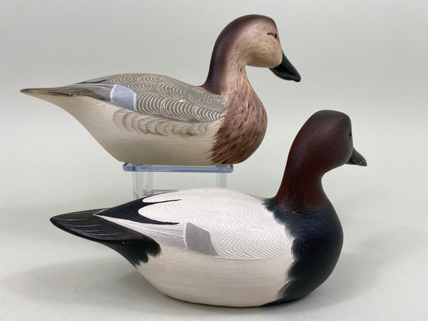 Kenny Weeks Pair of Third Size Canvasbacks (#7800)
